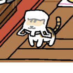 toastcat!
