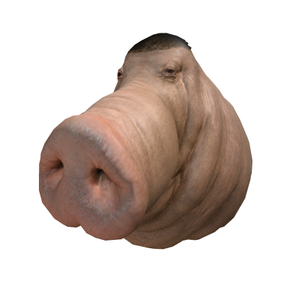 Pig Hat 2027