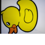Pluto_duckYT fan group