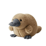 PLATYPUS STUDIO!