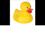 OFFICIAL GROUP OF THE DUCKS