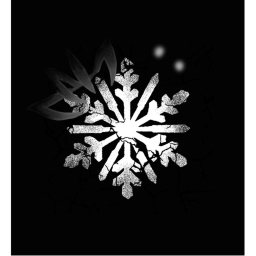 The Snow Household