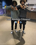 Law Abiding Citizens (LAC)