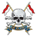 TTR The tiger regiment