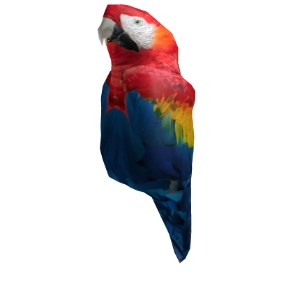 Parrot Body thumbnail