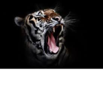 tiger .ink