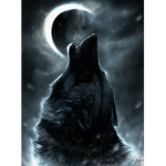 ~Magical Wølves Kingdøm~