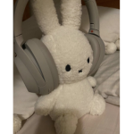 plushie’s dust bunnies