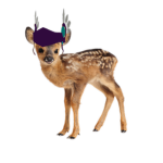 Fun Deer Studios
