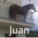 Juan El Caballo