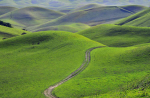 Run Up That Hill