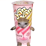 Notharu