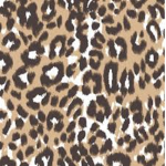 Lady Leopards