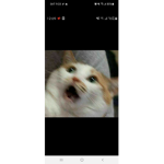 . 로.벅.