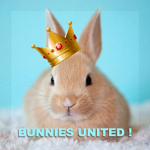 Bunnies United !