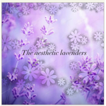 The Aesthetic lavender