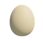 Egg
