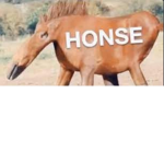 The Dark Honses