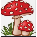 Mushroom motherhood