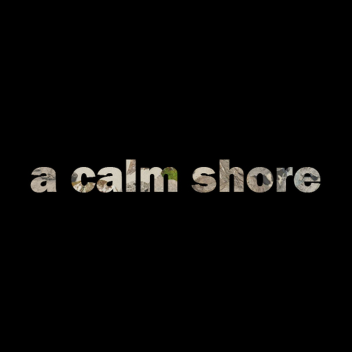 a calm shore