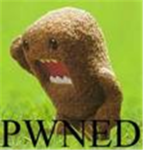 Group of PWN