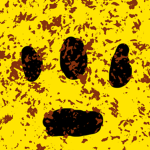 Forward Paw Productions