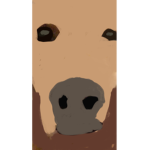 Addystar1600