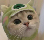 Userbog8 goat group