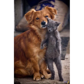 Hangout area for people who are cool