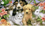 AwesomeAnimalSquad