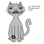 THE COOL KOALA CAT TEAM