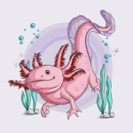 The official axolotl