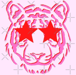 Cat -,-