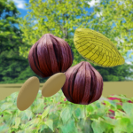 Garden Gang! (Garden Game Community)