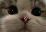 My friends!!!!!!!!!!!!!!!!!!!!!