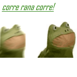 CORRE RANA, CORRE!!!