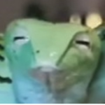 fatpp