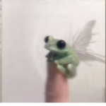 iuvabbs