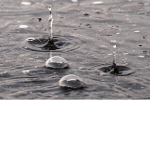 Rain cult