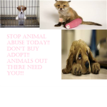 Animals are cool!!!