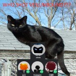 Who Spun on VeilUnbound?