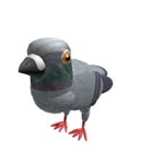 Pigeons Empired