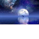 Moonlight Express ☾
