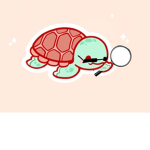Turtle Spy