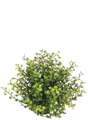Square Decal
