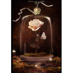 The Rose Petal’s Group