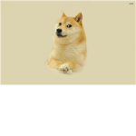 The Doge people