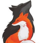 Gamer Foxez