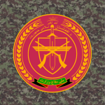 111th Capital Division