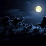 -Dark Night-